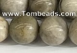 CSL154 15.5 inches 12mm round 

sliver leaf jasper beads wholesale