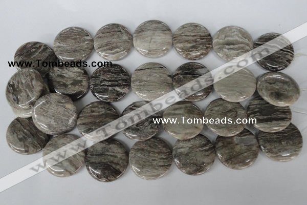 CSL35 15.5 inches 30mm flat round silver leaf jasper beads wholesale