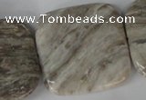 CSL59 15.5 inches 40*40mm square silver leaf jasper beads wholesale