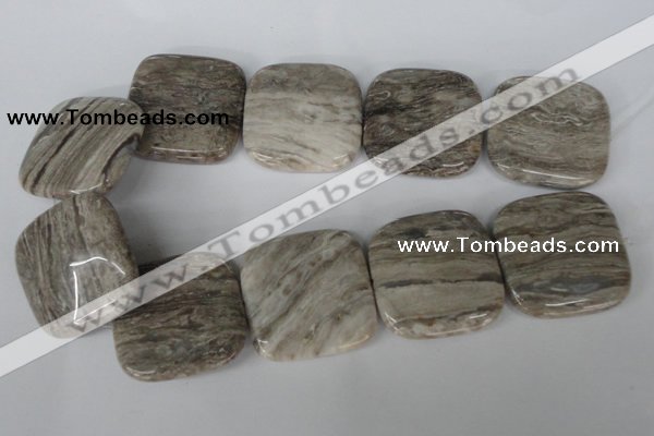 CSL59 15.5 inches 40*40mm square silver leaf jasper beads wholesale