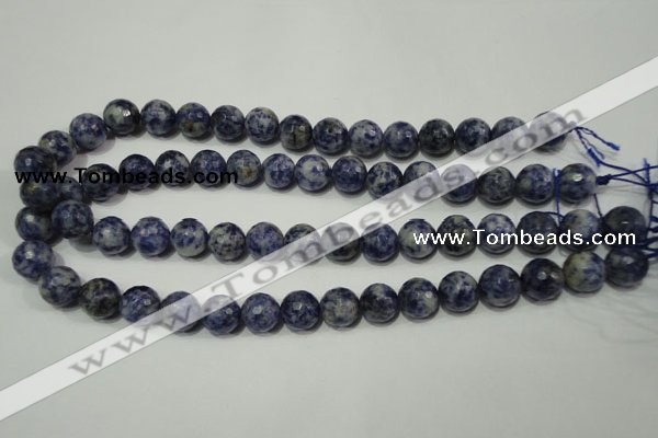 CSO304 15.5 inches 12mm faceted round Brazilian sodalite beads