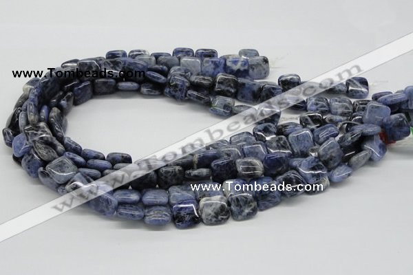 CSO44 15.5 inches 14*14mm square sodalite gemstone beads wholesale