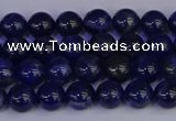 CSO500 15.5 inches 4mm round sodalite gemstone beads wholesale