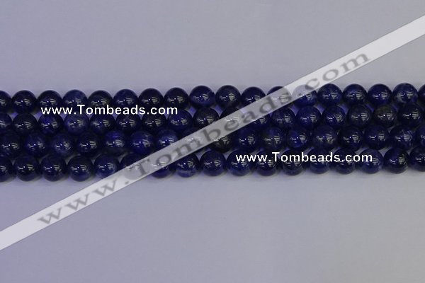 CSO503 15.5 inches 10mm round sodalite gemstone beads wholesale