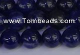 CSO504 15.5 inches 12mm round sodalite gemstone beads wholesale