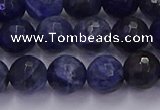 CSO603 15.5 inches 10mm faceted round sodalite gemstone beads