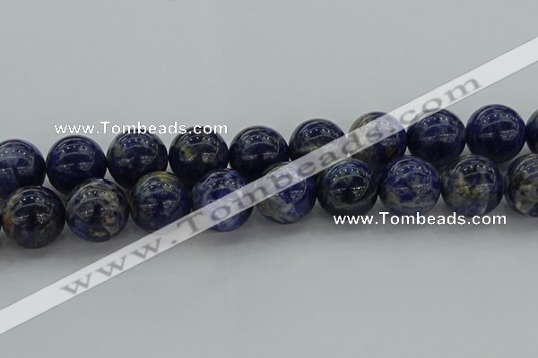 CSO639 15.5 inches 20mm round sodalite gemstone beads wholesale