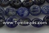 CSO670 15.5 inches 10mm flat round sodalite gemstone beads