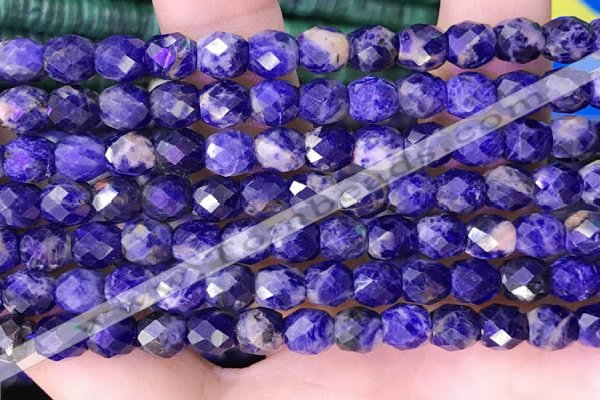 CSO850 15.5 inches 6*6mm faceted drum sodalite beads wholesale