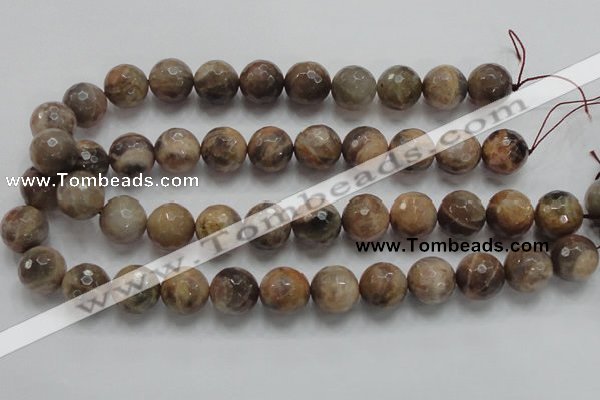 CSS100 15.5 inches 16mm faceted round natural sunstone beads wholesale