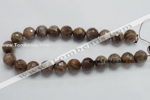 CSS101 15.5 inches 18mm faceted round natural sunstone beads wholesale