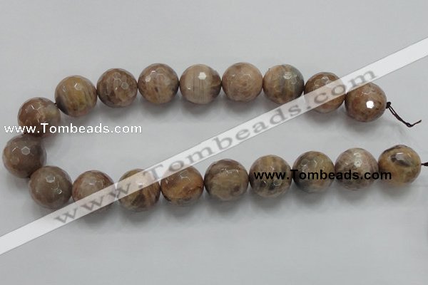 CSS102 15.5 inches 20mm faceted round natural sunstone beads wholesale