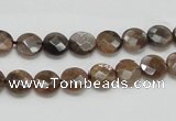 CSS104 15.5 inches 8mm faceted coin natural sunstone beads wholesale