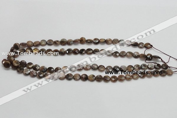 CSS104 15.5 inches 8mm faceted coin natural sunstone beads wholesale