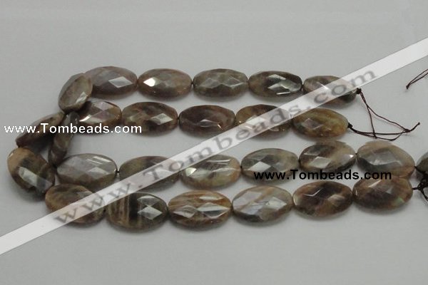 CSS109 15.5 inches 20*30mm faceted oval natural sunstone beads wholesale