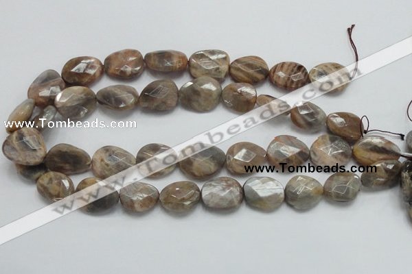 CSS111 15.5 inches faceted freeform natural sunstone beads wholesale