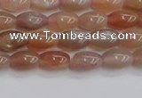 CSS265 15.5 inches 5*8mm rice sunstone beads wholesale