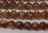 CSS551 15.5 inches 5mm round natural golden sunstone beads