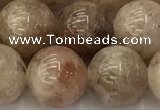 CSS724 15.5 inches 12mm round sunstone beads wholesale