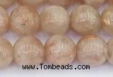 CSS792 15.5 inches 10mm round golden sunstone beads wholesale