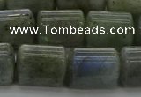 CTB513 15.5 inches 10*13mm triangle AB grade labradorite beads wholesale