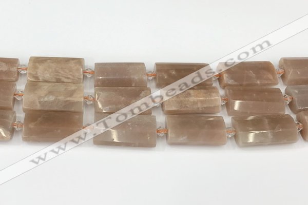 CTB861 13*25mm - 15*28mm faceted flat tube moonstone beads