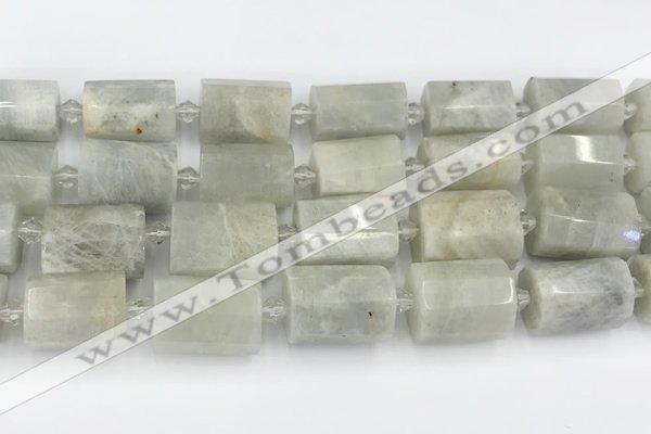 CTB876 13*25mm - 14*19mm faceted tube moonstone beads