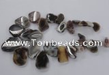 CTD1618 Top drilled 15*25mm - 30*45mm freeform botswana agate beads