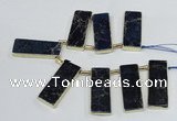 CTD1947 Top drilled 18*45mm - 20*50mm rectangle sea sediment jasper beads