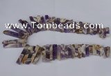 CTD1979 Top drilled 8*20mm - 10*55mm sticks dogtooth amethyst beads