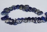 CTD2101 Top drilled 20*28mm - 25*35mm freeform lapis lazuli beads