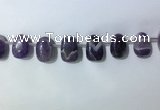 CTD2144 Top drilled 15*25mm - 18*25mm freeform dogtooth amethyst beads