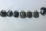 CTD2151 Top drilled 15*25mm - 18*25mm freeform labradorite beads