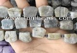 CTD2285 Top drilled 15*20mm - 17*23mm freeform labradorite beads