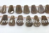 CTD2335 Top drilled 16*18mm - 20*30mm faceted freeform moonstone beads