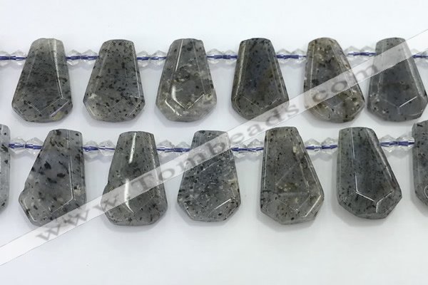 CTD2352 Top drilled 16*18mm - 20*30mm freeform moss quartz beads