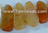 CTD2700 15.5 inches 10*25mm - 18*50mm freeform agate beads