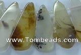 CTD2708 15.5 inches 10*25mm - 18*50mm freeform montana agate beads