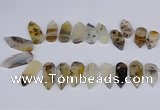 CTD2734 Top drilled 15*28mm - 18*45mm freeform montana agate beads