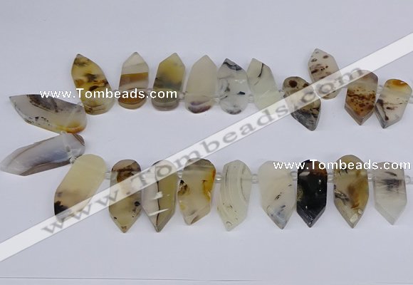 CTD2734 Top drilled 15*28mm - 18*45mm freeform montana agate beads