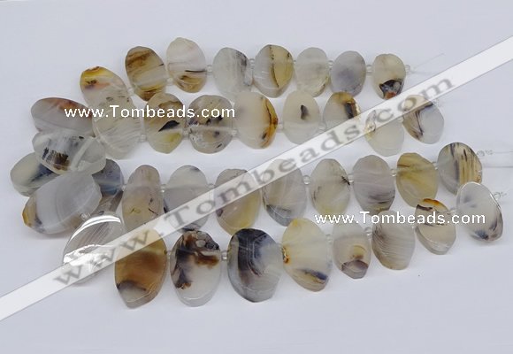 CTD2825 Top drilled 15*25mm - 25*35mm freeform Montana agate beads