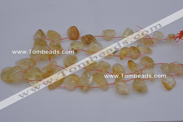 CTD323 Top drilled 15*20mm - 20*30mm freeform citrine beads
