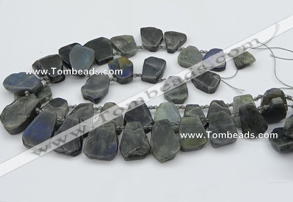 CTD334 Top drilled 15*20mm - 25*30mm freeform labradorite beads