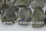 CTD3573 15.5 inches 15*20mm - 18*25mm freeform labradorite beads