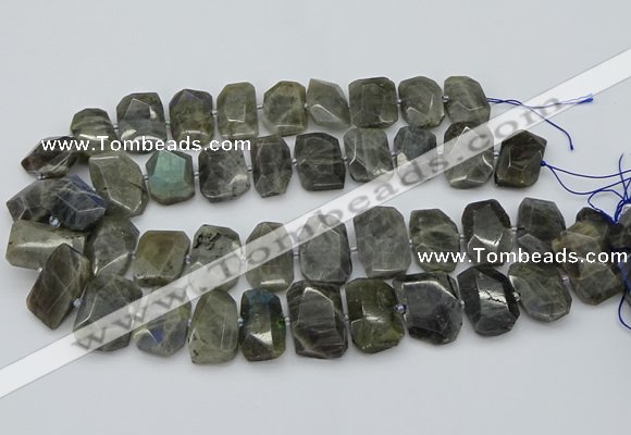 CTD3573 15.5 inches 15*20mm - 18*25mm freeform labradorite beads