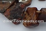 CTD3596 Top drilled 15*20mm - 25*30mm freeform orange garnet beads