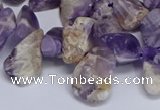 CTD3602 Top drilled 10*14mm - 13*18mm nuggets dogtooth amethyst beads