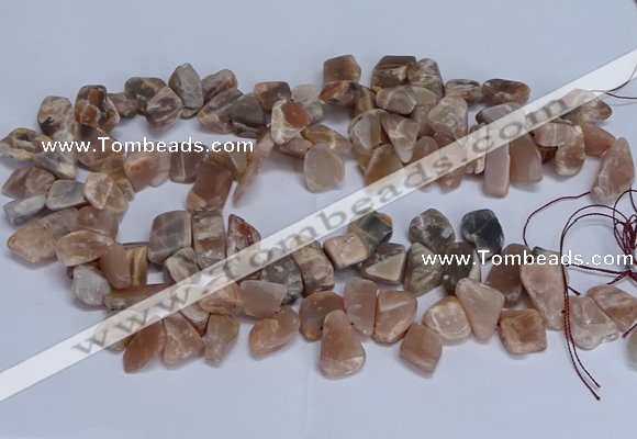 CTD3607 Top drilled 10*14mm - 13*18mm nuggets moonstone beads