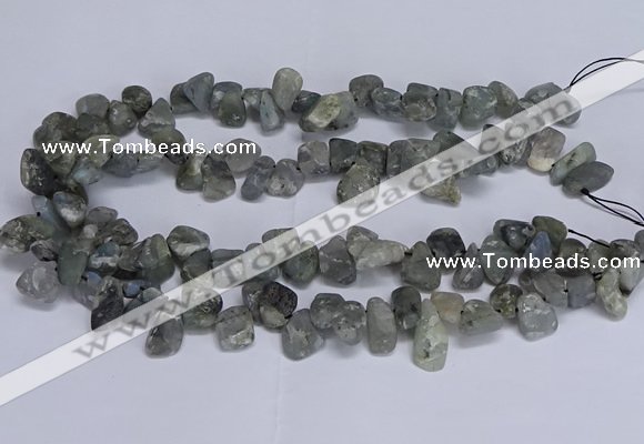 CTD3611 Top drilled 10*14mm - 13*18mm nuggets labradorite beads