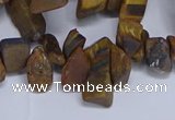 CTD3616 Top drilled 10*14mm - 13*18mm nuggets yellow tiger eye beads